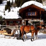 romantic horse and sleigh ride in Verbier in the Swiss Alps